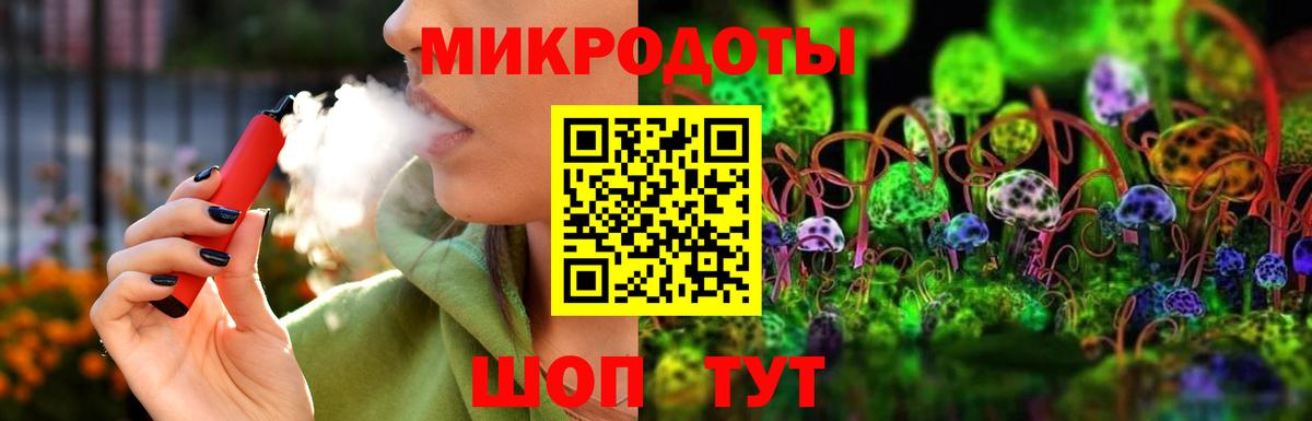Галлюциногенные грибы Psilocybe Апшеронск